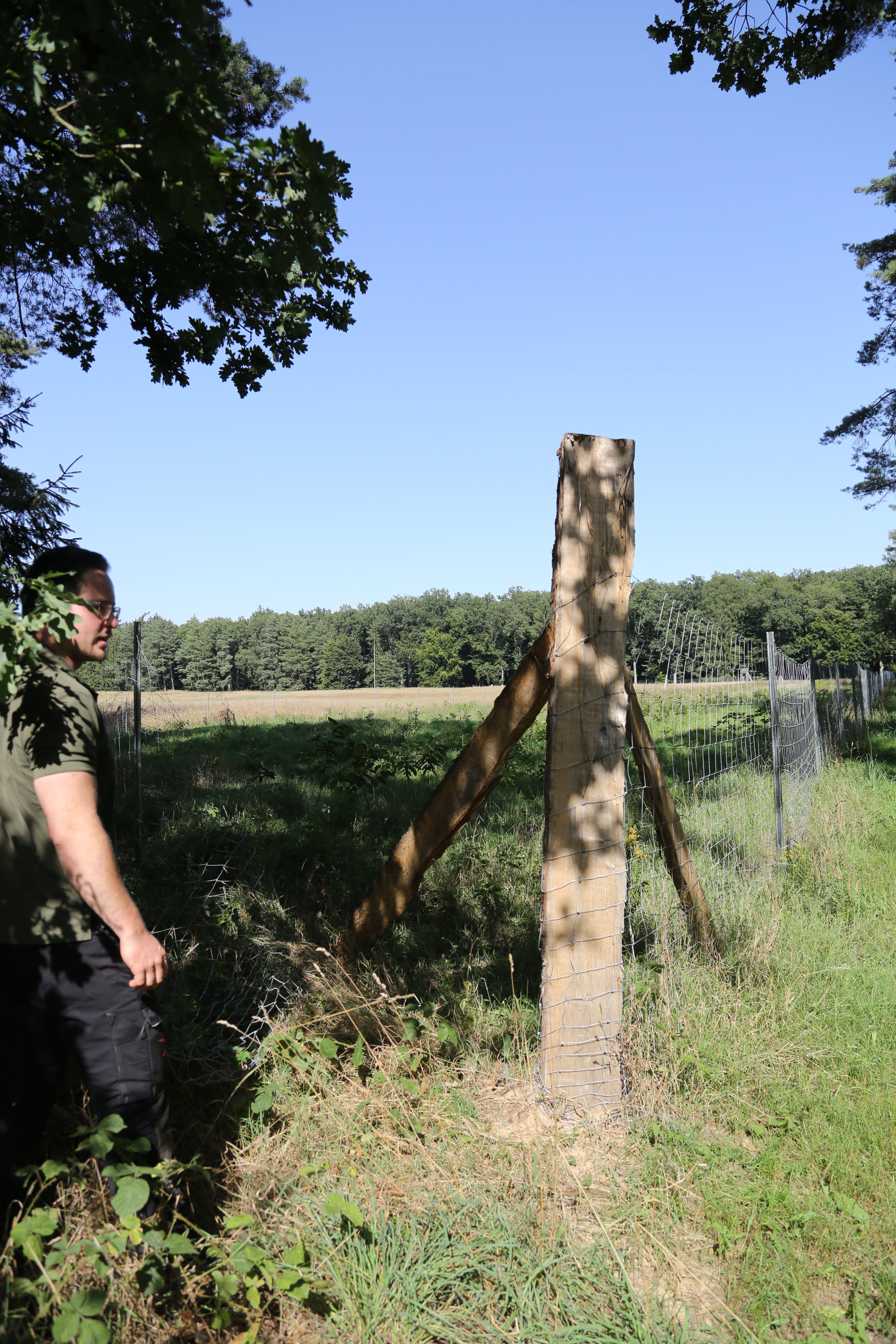 ...