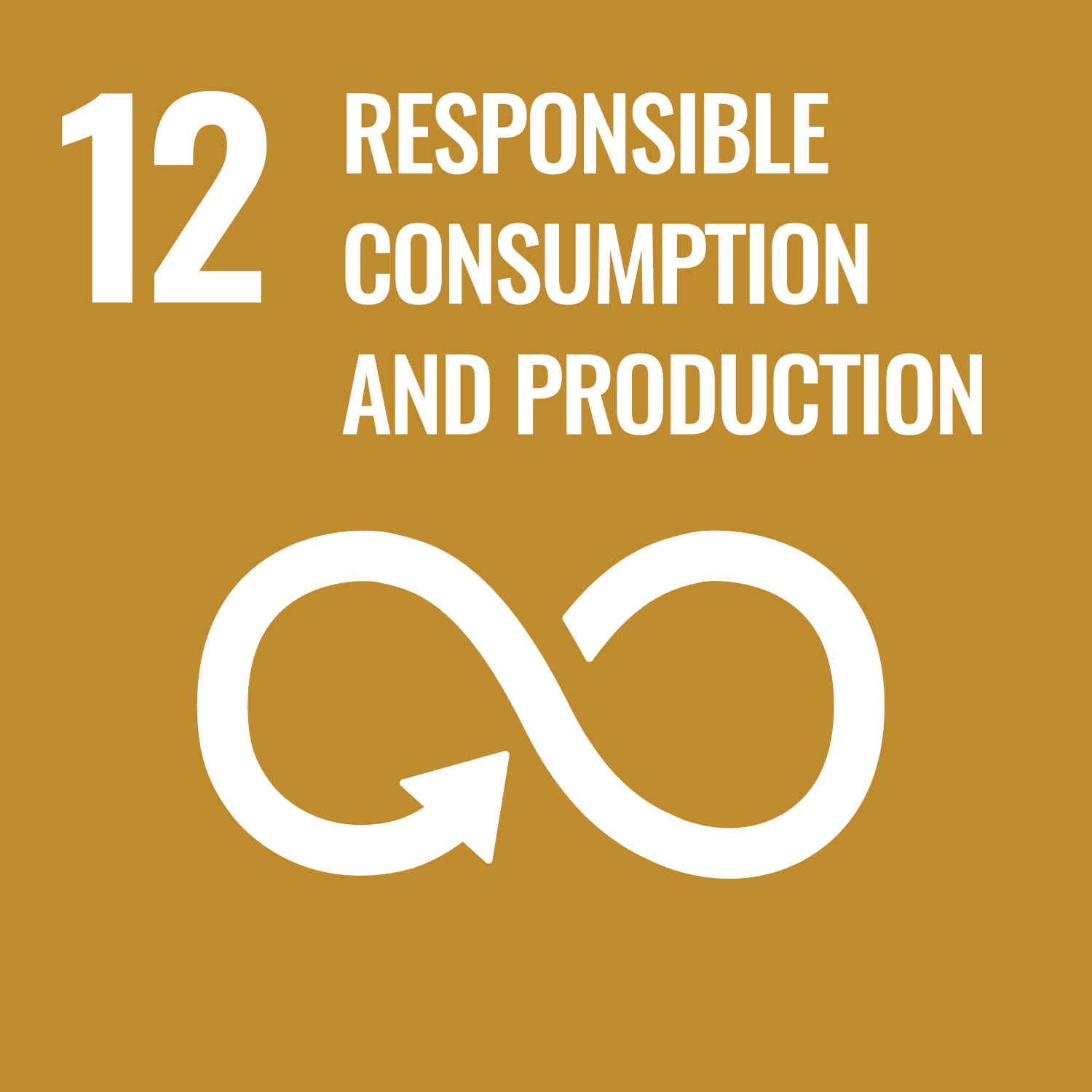 Nachhaltige/r Konsum und Produktion