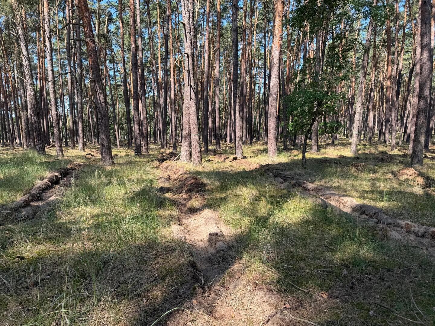 ...